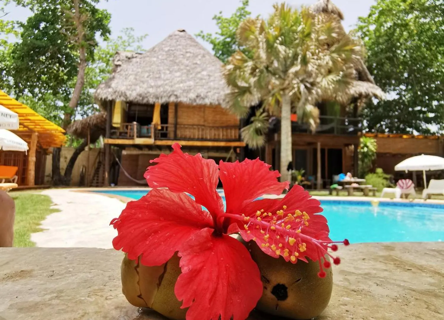 Lodge Cabarete Ecolodge Maravilla Beachfront,Encuentro, Surf, Kite